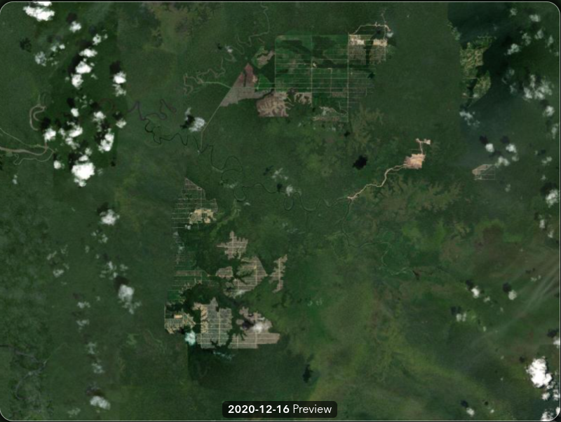 Esri Wayback imagery from 2020
